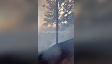 Bursa'da orman yangını başladı! Uludağ'da alevler büyüyor...