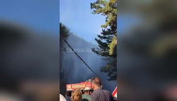 Bursa'da orman yangını başladı! Uludağ'da alevler büyüyor...