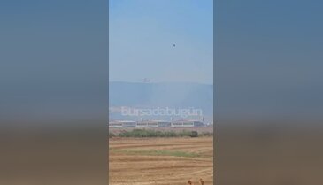 Bursa'da makilik alanda yangın çıktı! Müdahale sürüyor...