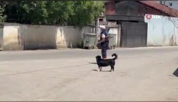 Bursa'da yürek burkan hikaye! Sahibinin ölümünü unutmadı, yeni dostunu hiç bırakmadı
