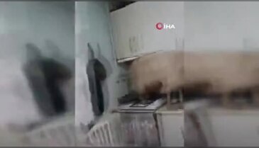 Bursa'daki bu evde durumlar nasıl bu hale geldi?