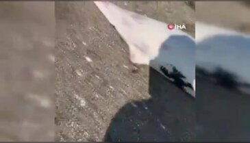 Bursa'da görenlerin içini sızlatan olay! Ölü şekilde kıyıya vurdular
