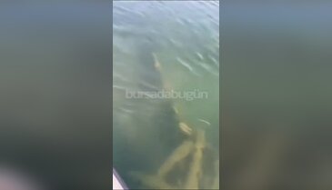 Bursa'da suların altında inanılmaz keşif! Yıllardır aranan sır gün yüzüne çıktı!