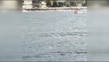 Bursa'da görsel şölen!