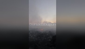 Bursa'da aynı bölgede bir yangın daha! İtfaiye ekipleri olay yerinde...