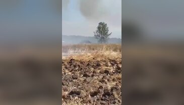 Bursa'da yangın! Alevler hızla yayıldı, havadan karadan müdahale başladı