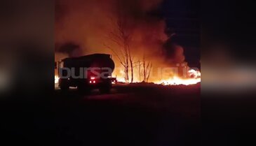 Bursa'da aynı bölgede art arda yangın! Bu kez ağaçlara sıçradı...