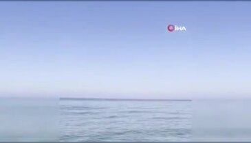 Bursa'da eşsiz anlar! Yunus sürüsü kıyıya böyle yaklaştı