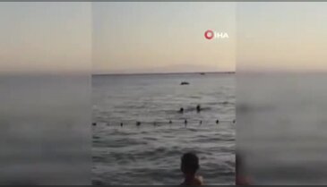 Bursa sahilinde sevimli misafirler! Yunuslar böyle görüntülendi...