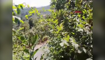 Elektrik dağıtım şirketine ait helikopter düştü!