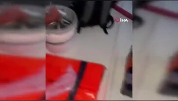 Karacabey sahillerinde istavrit bereketi