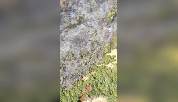 Bursa'da yanı başında alevler yükselen dev tesis tehlikede mi? İlk açıklama geldi...