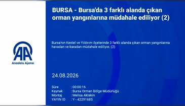 Bursa'da korkutan yangınlardan haber var!