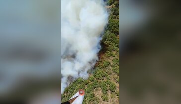 Bursa'da bir orman yangını daha! Biri sönüyor diğeri başlıyor...
