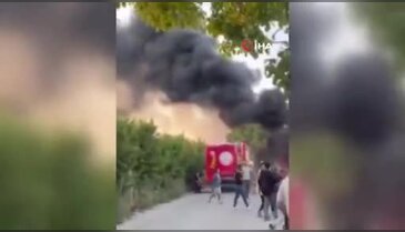 Bursa'da yine aynı korku! Mahalle sakinleri isyan etti