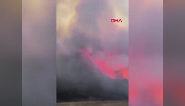 Bursa'da ormanlık alana sıçrayan yangın hızla yayılmıştı! Sevindiren haber geldi...