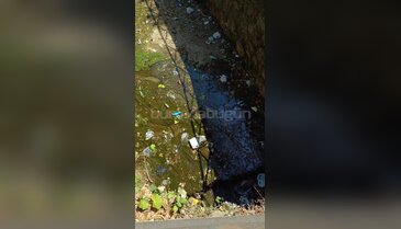 Bursa'da dere çöplerle doldu: Kötü koku tepkisi