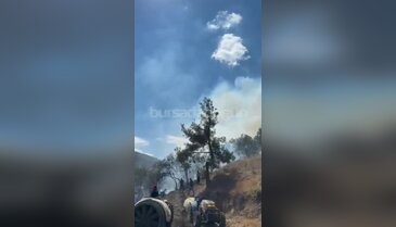 Bursa'da yerleşim yerinin dibinde orman yangını! Alevler dağa doğru yayılıyor...