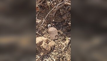 Bursa'da Kurtuluş Savaşı'ndan kalma el bombaları bulundu!