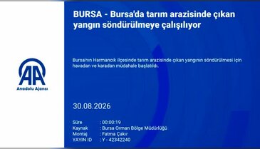 Bursa'da bir yangın daha! Müdahale sürüyor...
