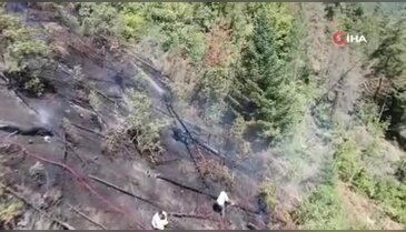 Ağaç keserken faciayı yaşadı: Elektrik akımına kapılarak can verdi...
