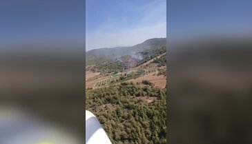 Bursa'da korkutan yangın! Ekipler alarma geçti