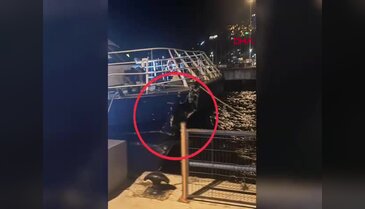 Bursa'da deniz otobüsü iskeleye çarptı: Yolcular büyük panik yaşadı!