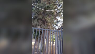 Yıkımı Bursalıları üzen köklü okulla ilgili kritik gelişme! İhalesi bitti, inşaat başlıyor