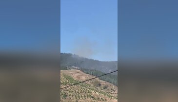 Bursa'da orman yangını! Zamanla yarış sürüyor...