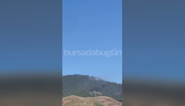 Bursa'daki yangın hızla yayılmıştı! Sevindiren haber geldi...