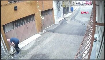 Bursa'da kediler için bırakılan mama kaplarını çöpe attılar! O anlar kamerada...