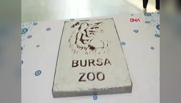 Türkiye'de bir tane var, o da Bursa'da! Gidip görebilirsiniz...