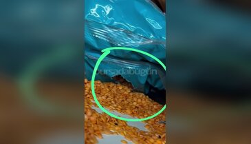 Bursa'daki ünlü zincir markette fare skandalı! Her şeyi kemirmişler...