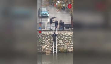 Bursa'da minik kedi için yağmur altında kurtarma seferberliği