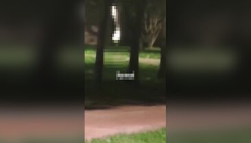 Parkta mide bulandıran görüntü: "Artık ailemizle bile çıkamaz olduk"